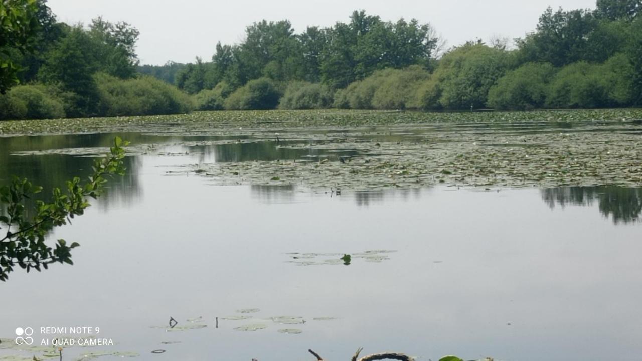 Maison De Ferme Au Calme Jusqu'A 10 Personnes Gannay-sur-Loire Екстер'єр фото
